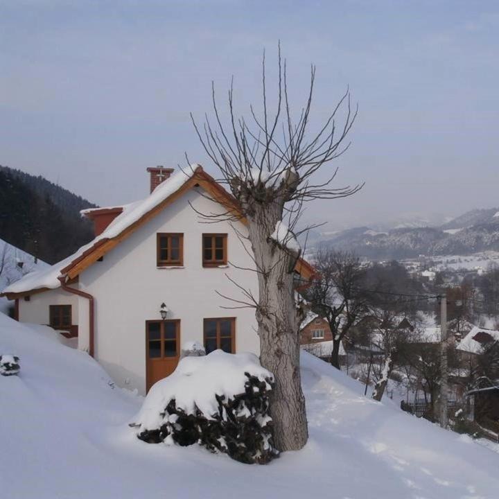 Charming House With Beautiful Landscape Villa Frýdštejn Kültér fotó